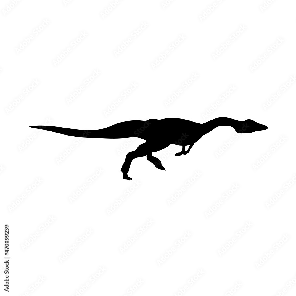 Dinosaur silhouette