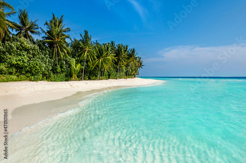 Fototapeta Naklejka Na Ścianę i Meble -  Maldives Islands Ocean Tropical