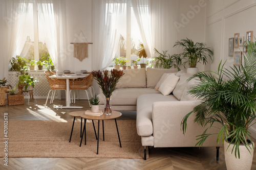 Stylish room interior with comfortable sofa and beautiful houseplants