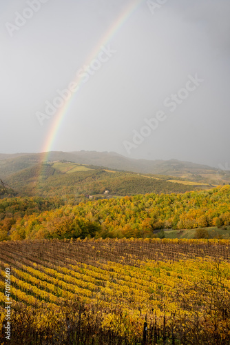 Amazing rainbow sparkling out in a rainy day in autumn foliage countryside landscape made of vineyards and forests in Chianti, Tuscany, central Italy.