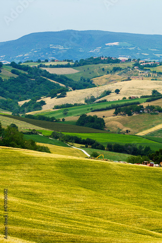 Rural landscape along the road from Fano to Mondavio, Marche © Claudio Colombo