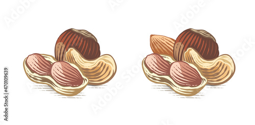 nut set logo Hand drawing sketch engraving watercolor illustration style