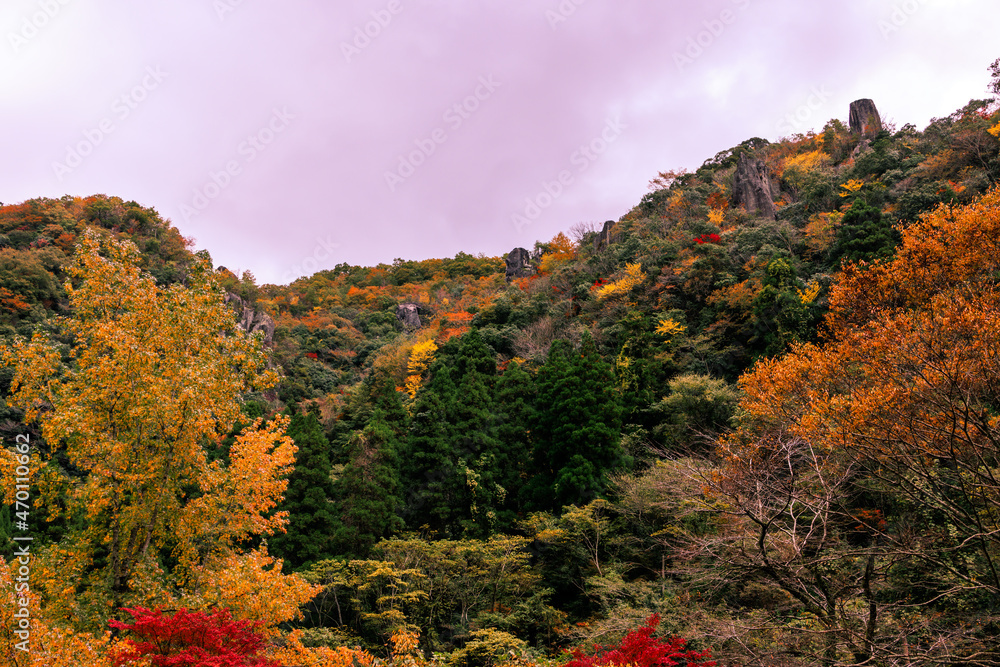 紅葉の深耶馬渓