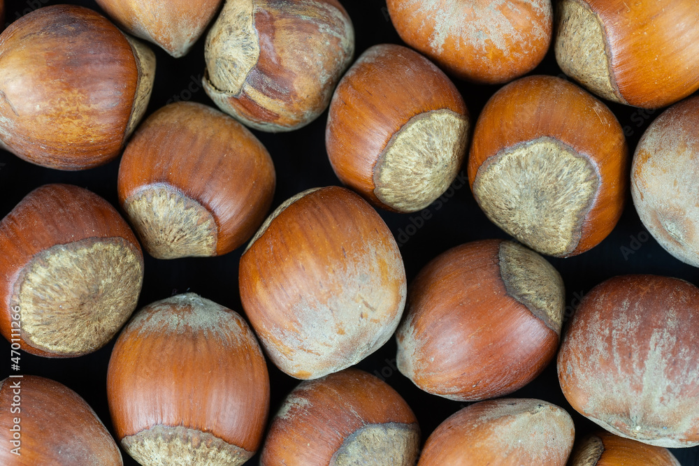 Hazelnuts on a black background. Fresh hazelnut harvest is scattered on black table.. Hazelnuts on a black background. Fresh hazelnut harvest is scattered on black table..