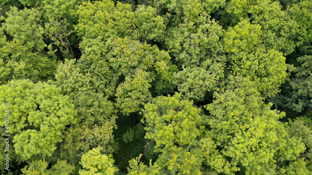 Naklejka premium Wakd von Oben