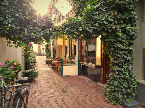 Alley in the center of Amsterdam, The Netherlands