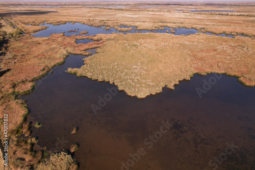 Aerial view, moving forward above the branches river is a (Danube river) flows among the endless thickets of reed.