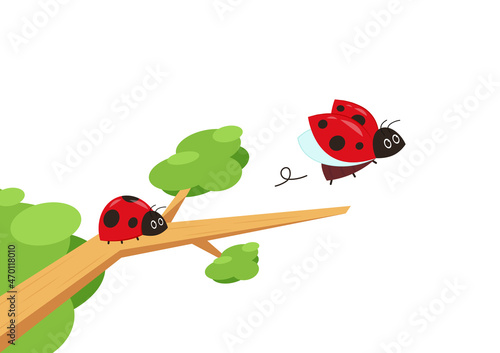 ladybug vector. ladybug on white background. wallpaper. tree stick vector. Ladybug insects on the branches.