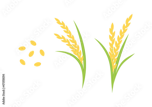 Rice vector on white background. oat vector. wallpaper. free space for text. copy space.