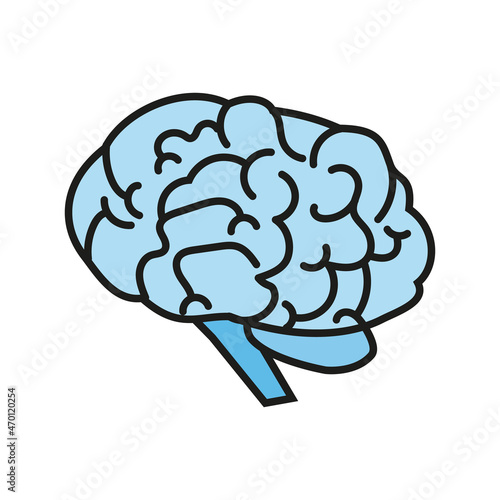 Human brain Icon on white background