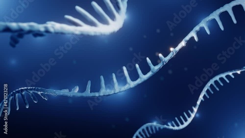 RNA, Epigenetics concept animation photo