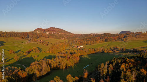 Fototapeta Naklejka Na Ścianę i Meble -  Herbstwald von Oben