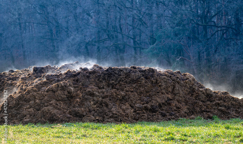 Obraz na plátně A pile of cow dung as a symbol of methane pollution of the atmosphere