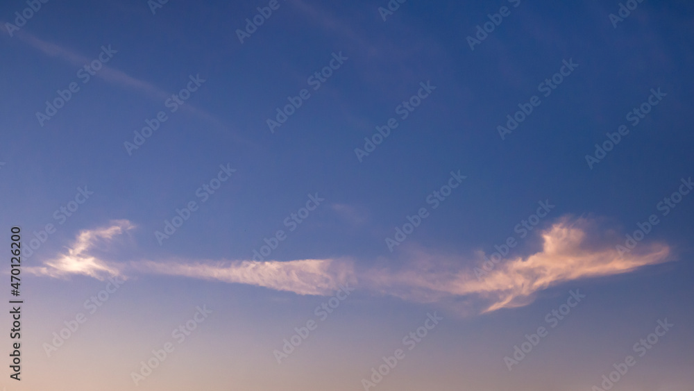 A whale-shaped cloud illuminated by the sun beyond the horizon before sunrise