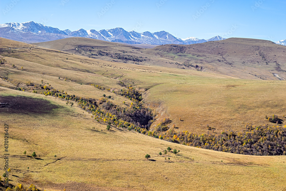 Просторы Приэльбрусья - горы, глубокие овраги, пастбища на которых пасутся бесчисленные стада коров, лошадей, овец. 