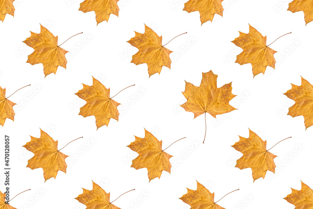 Seamless pattern of orange autumn maple leaves isolated on white background Seamless pattern of orange autumn maple leaves isolated on white background