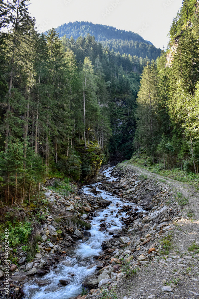 Obraz premium Raggaschlucht, Weg, Wald, Wanderweg, Ragga Schlucht, Schlucht, Klamm, Mölltal, Flattach, Nadelwald, Baum, Baumstamm, Bäume, Kärnten, Oberkärnten, Bach, Raggabach, Kreuzeck, Kreuzeckgruppe, eng, tief, 