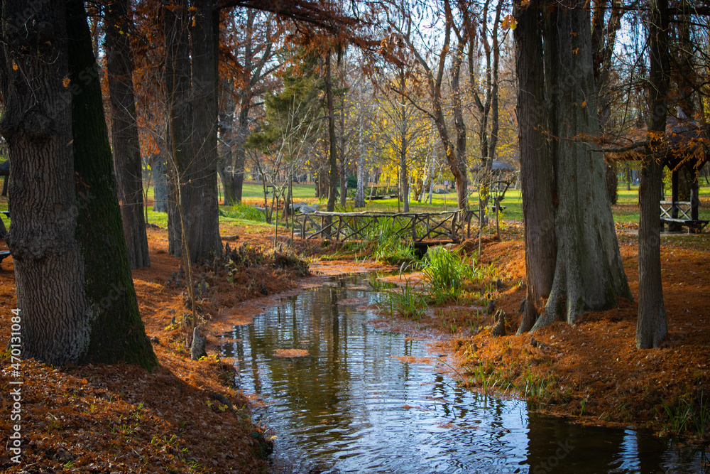 Autumn in Nicolea Romanescu Park, close to a waterfall. Autumn in Nicolea Romanescu Park, close to a waterfall.