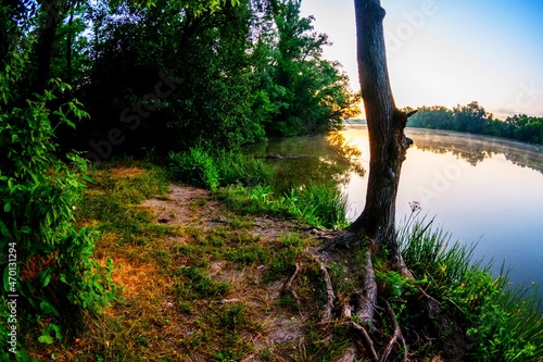 tree on the beach . Sunrise over the lake . red ske . sunrise in the village  photo