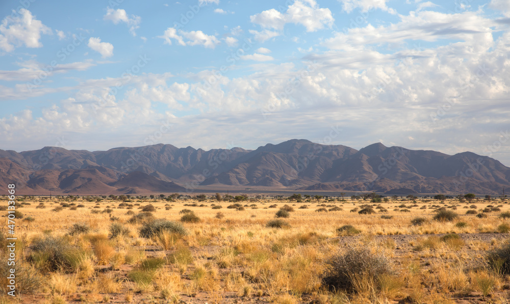 Fototapeta premium Beautiful grassland landscape with Brandberg mountain, Namibia