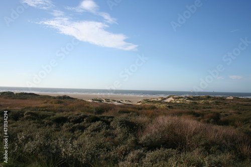 dutch dunes with sea view
