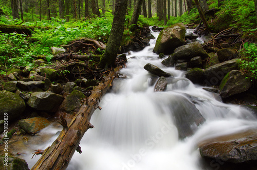 River in the woods