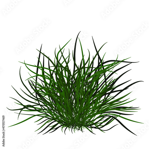 A lush bump made of grass with long thin pointed leaves of several shades of green on a white background. Isolated vector Illustration for Botanical Character for use in logo, postcard, sticker, icon.
