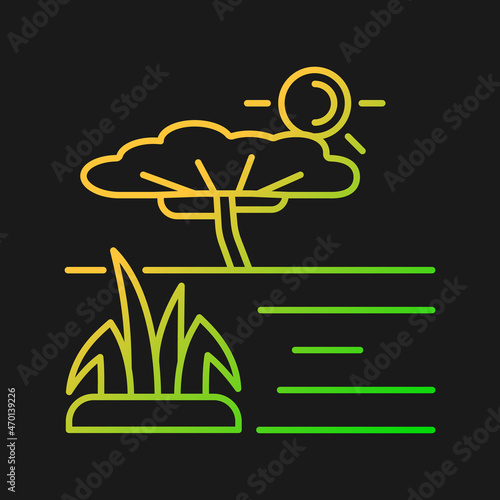 Savanna gradient vector icon for dark theme. African grassland and woodland. Plain tropical land with separated trees. Thin line color symbol. Modern style pictogram. Vector isolated outline drawing