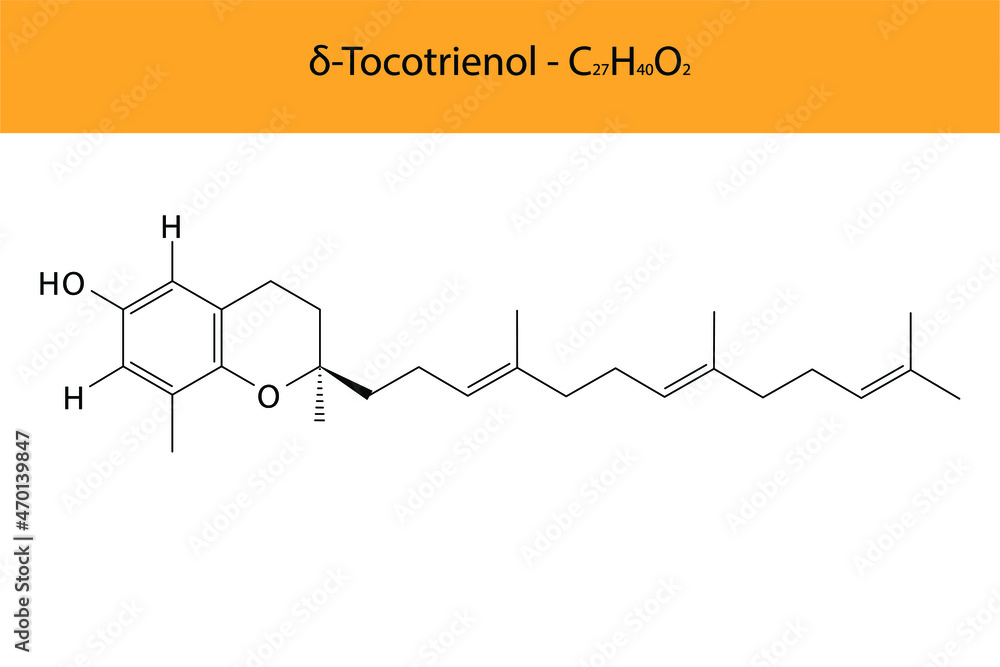 δ Delta Tocotrienol Skeletal structure and molecular formula. Organic biomolecule, isolated vector illustration δ Delta Tocotrienol Skeletal structure and molecular formula. Organic biomolecule, isolated vector illustration