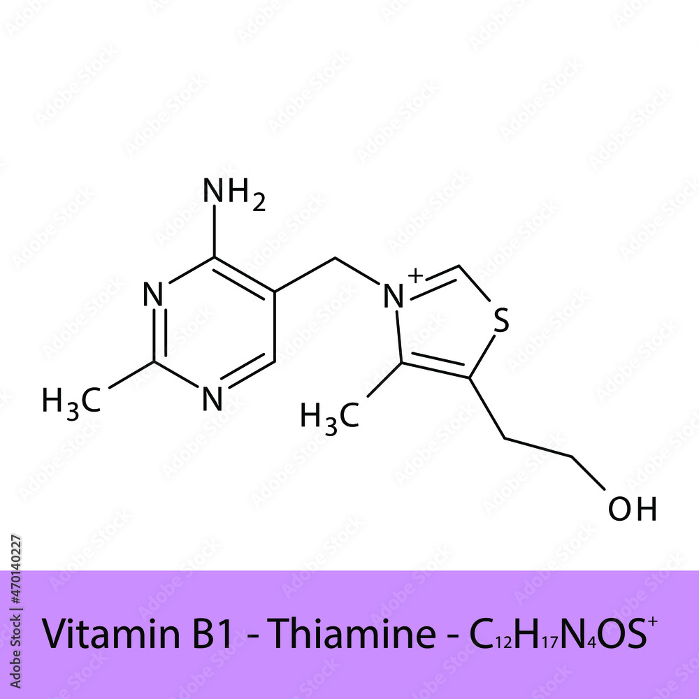 Vitamin B1 Thiamine Skeletal structure and molecular formula. Organic biomolecule, isolated vector illustration Vitamin B1 Thiamine Skeletal structure and molecular formula. Organic biomolecule, isolated vector illustration