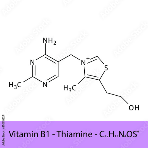 Vitamin B1 Thiamine Skeletal structure and molecular formula. Organic biomolecule, isolated vector illustration