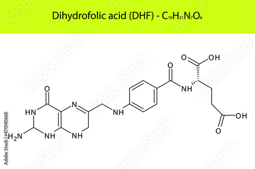 Vitamin B9 derivative Dihydrofolic acid - DHF Skeletal structure and molecular formula. Organic biomolecule, isolated vector illustration
