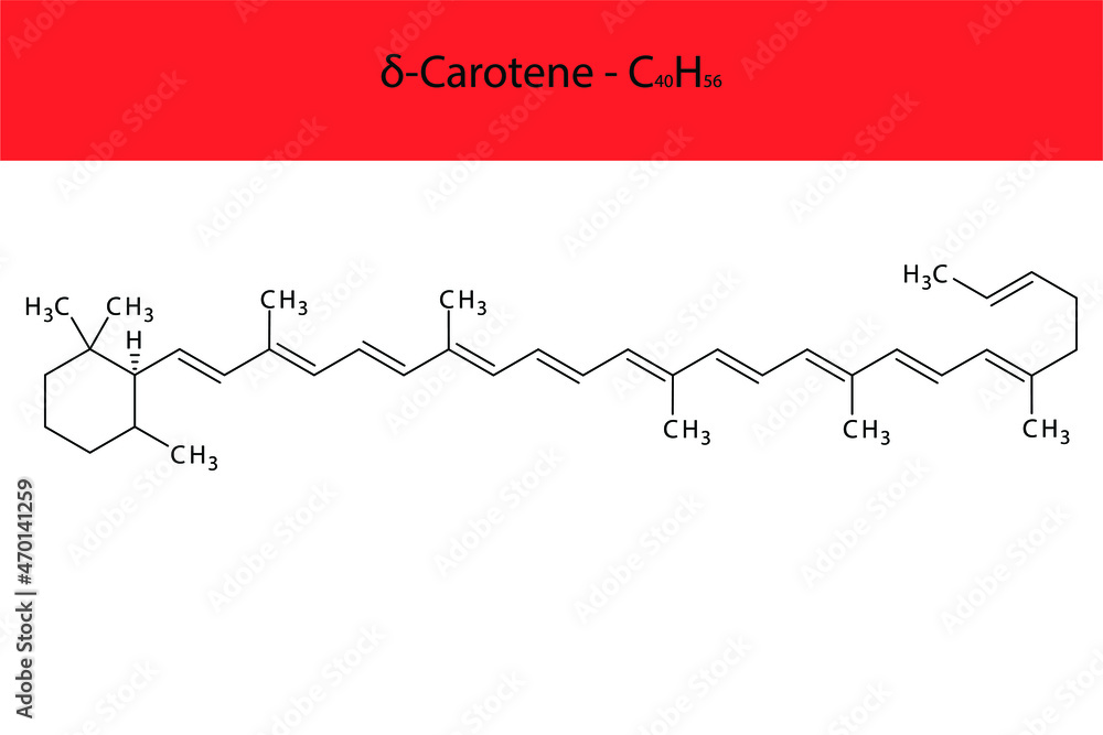 δ Delta Carotene Skeletal structure and molecular formula. Organic biomolecule, isolated vector illustration