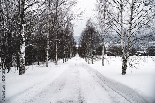 road winter Norway © Leif Reimer