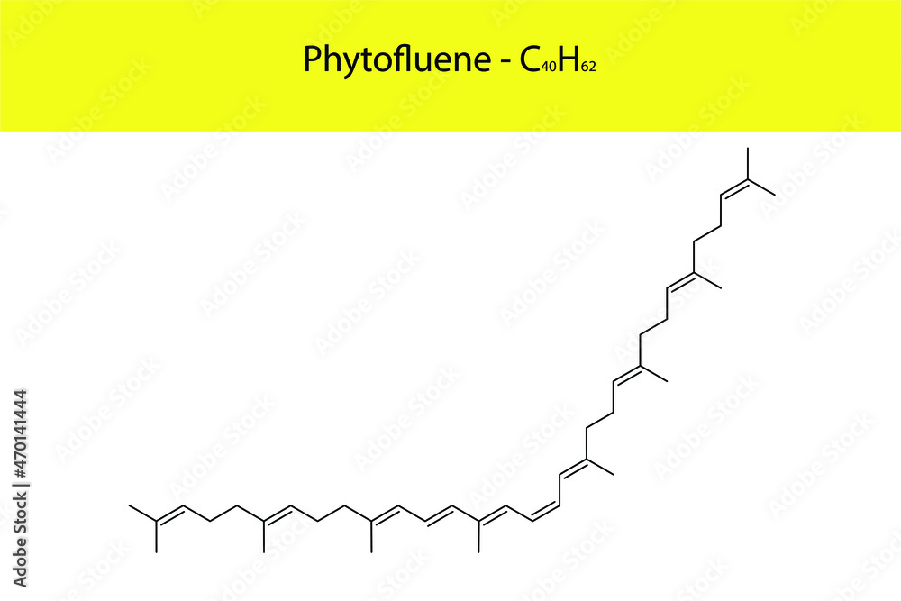 Phytofluene Skeletal structure and molecular formula. Organic biomolecule, isolated vector illustration