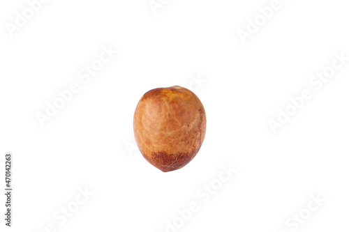 avocado seed isolated on a white background