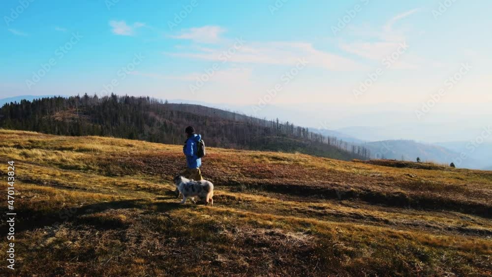 Autumn walk with australian shepherd dog in autumn forest in Beskidy Mountains, Poland, Autumn walk with australian shepherd dog in autumn forest in Beskidy Mountains, Poland,