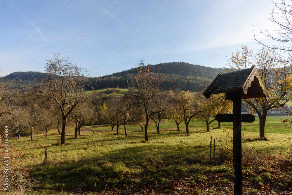Wegweiser mit Weg im Herbst im vor Obstbäumen auf Wiese in der Sonne Wegweiser mit Weg im Herbst im vor Obstbäumen auf Wiese in der Sonne