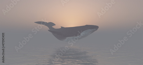 Whale Flying Sunset Sky Coastline Ocean Sea Water Clouds Sun Sunrise 3d illustration render © paul