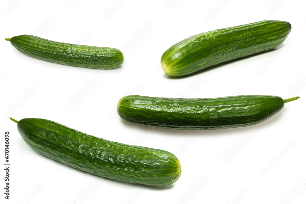 Cucumber isolated on white background. Cucumber isolated on white background.