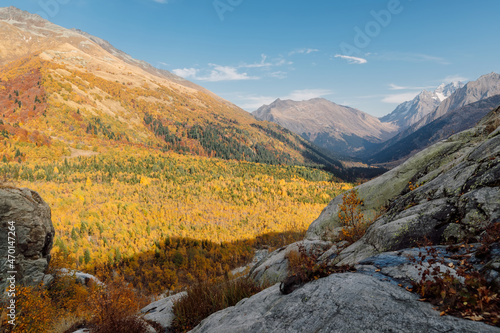 Valley with mountains and forest in Dombay © artifirsov