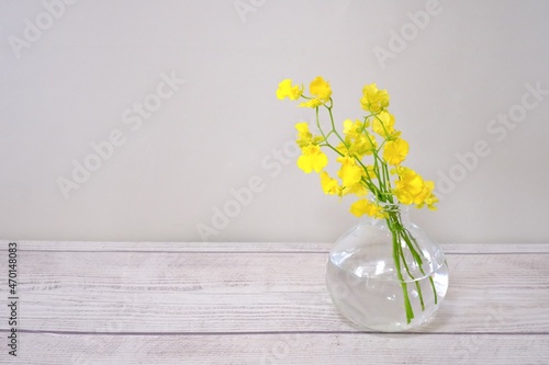 お花のある生活　黄色いお花