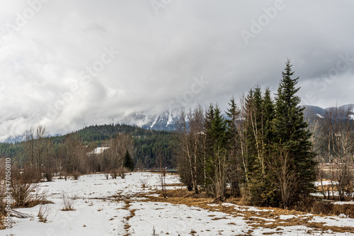 Early spring landscape in a field overcast day with mountains in a distance