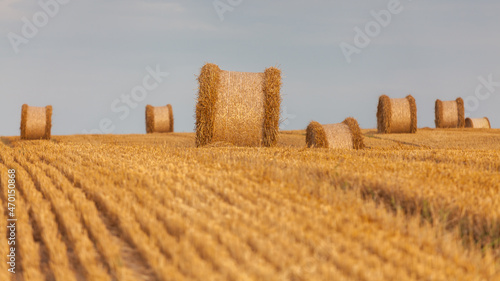Fototapeta Naklejka Na Ścianę i Meble -  View of the Masurian fields.