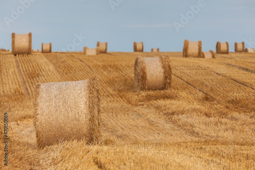 Fototapeta Naklejka Na Ścianę i Meble -  View of the Masurian fields.