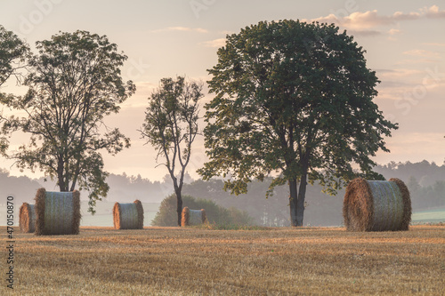 Fototapeta Naklejka Na Ścianę i Meble -  View of the Masurian fields.
