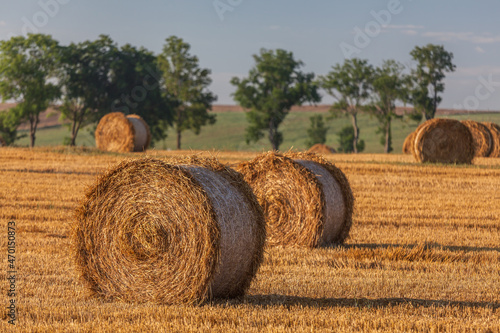 Fototapeta Naklejka Na Ścianę i Meble -  View of the Masurian fields.