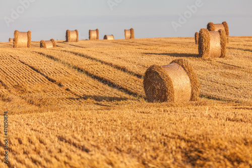 Fototapeta Naklejka Na Ścianę i Meble -  View of the Masurian fields.