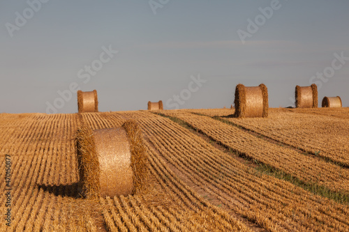 Fototapeta Naklejka Na Ścianę i Meble -  View of the Masurian fields.