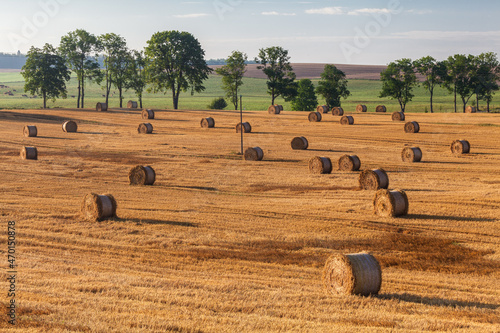 Fototapeta Naklejka Na Ścianę i Meble -  View of the Masurian fields.